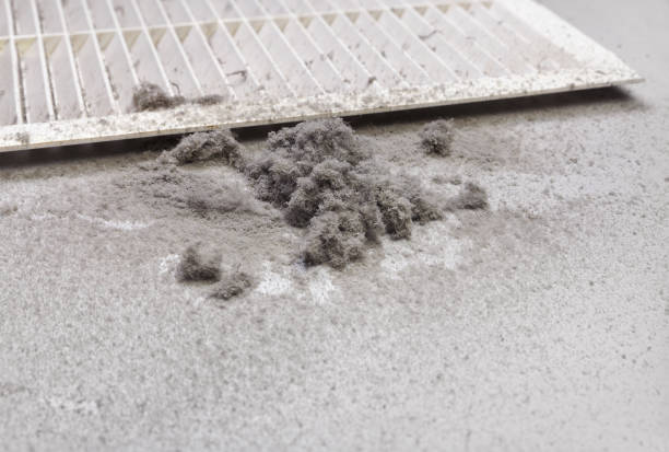 Best Air Duct Cleaning Near Me  in Ely, IA