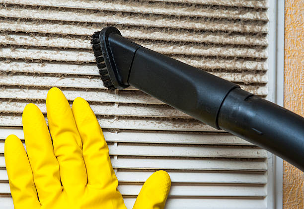Best Residential Air Duct Cleaning  in Ely, IA